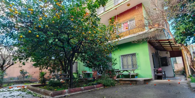 Altından Gümüşten At - Fotoğraf 1